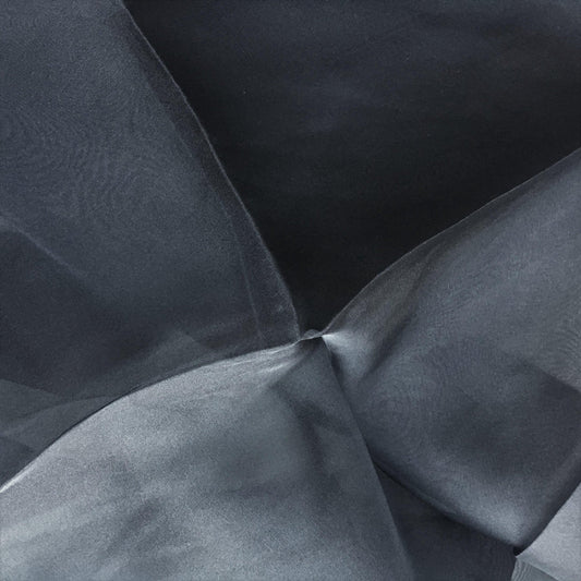 BLACK SILK ORGANZA