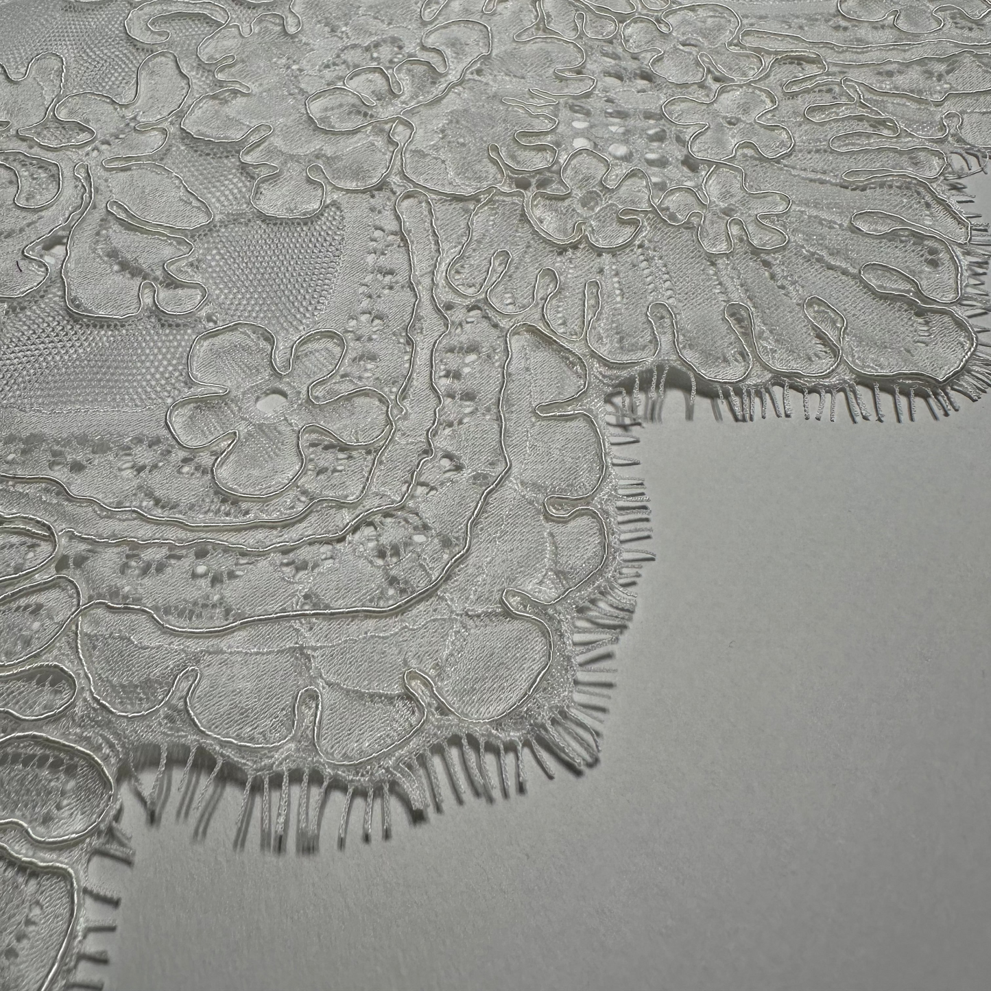 LIMITED EDITION CORDED BRIDAL LACE REMNANT