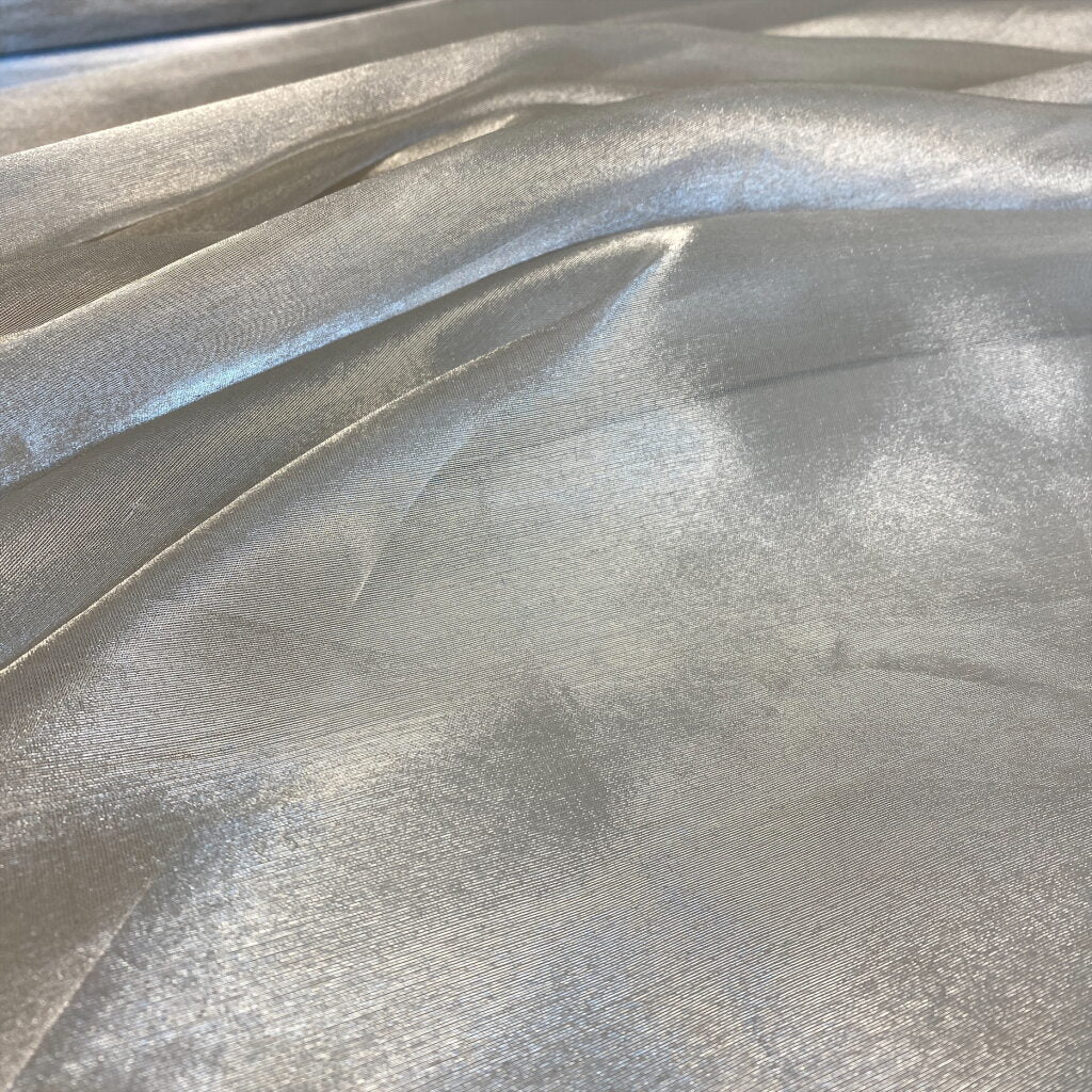 SILVER TISSUE ORGANZA