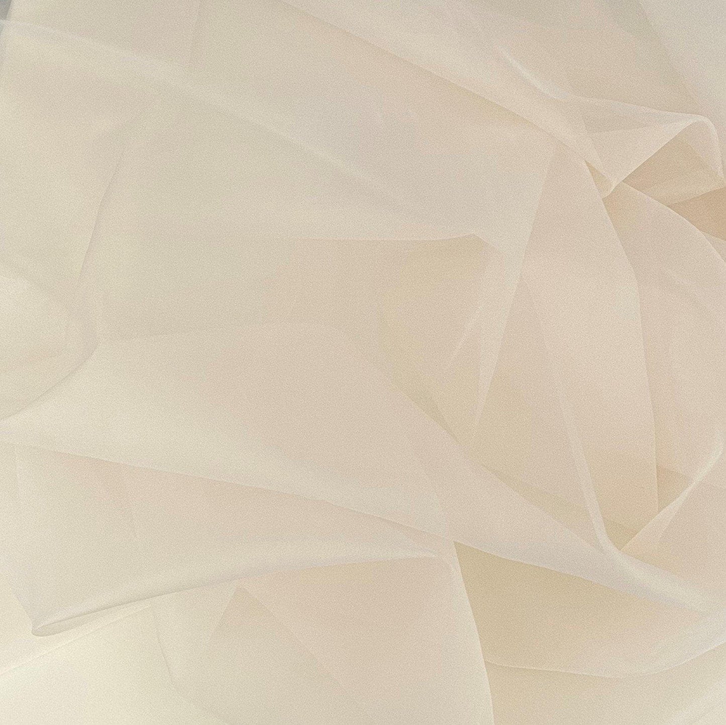 SEASHELL SILK ORGANZA